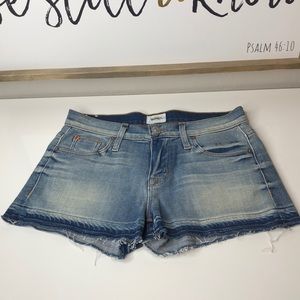 Hudson Jean Shorts